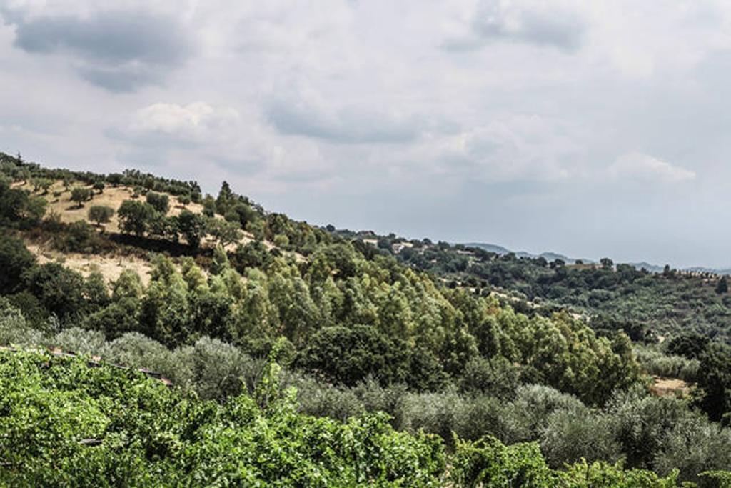 Agriturismo Miracco Atanasio Franco "Il Maniero" Santa Sofia d'Epiro Luaran gambar