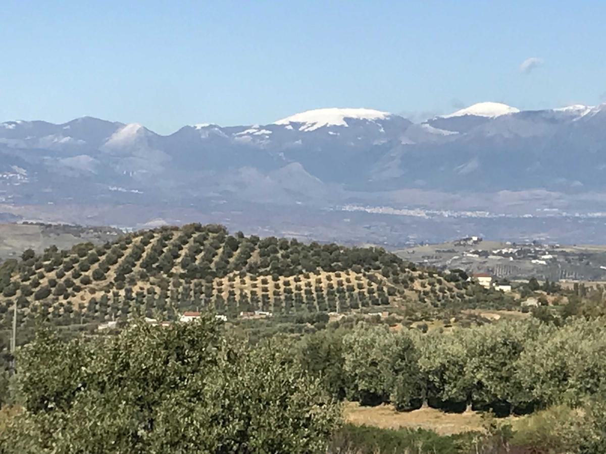 Agriturismo Miracco Atanasio Franco "Il Maniero" Santa Sofia d'Epiro Luaran gambar